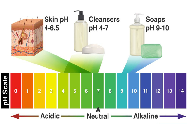 ph of skin